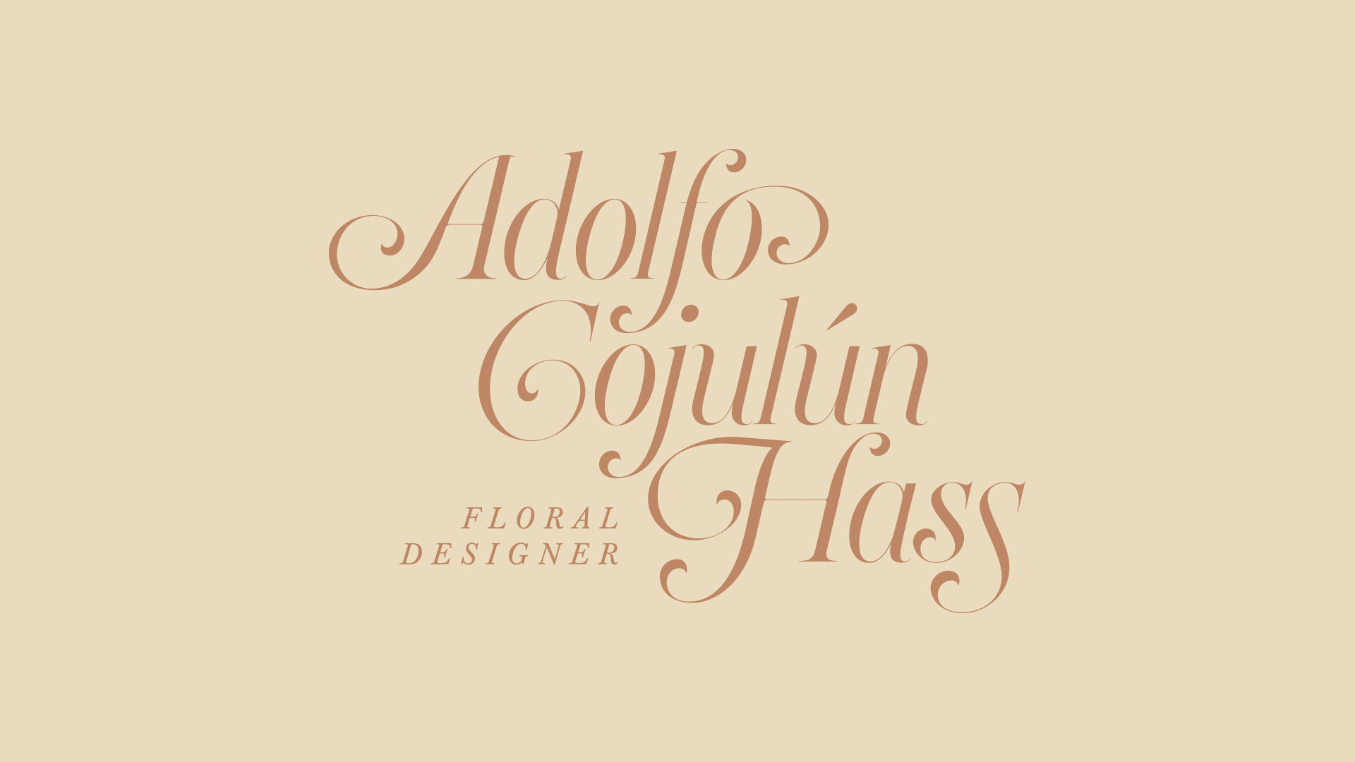 Brand identity and motion graphics project