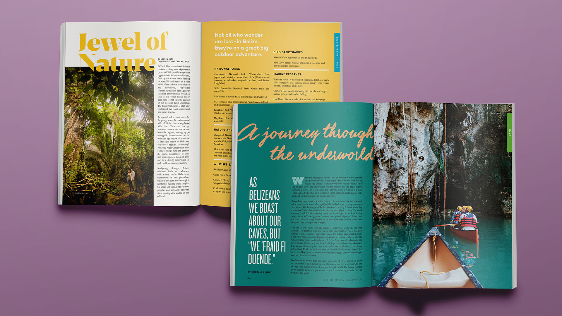 Brand identity and motion graphics project